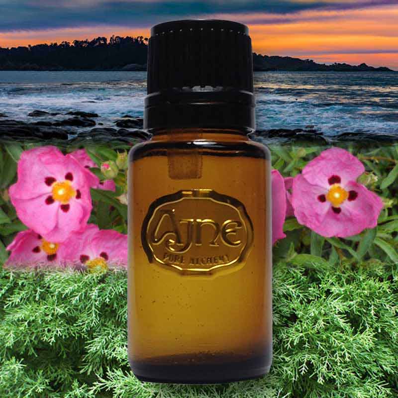 Carmel - Diffuser Aroma