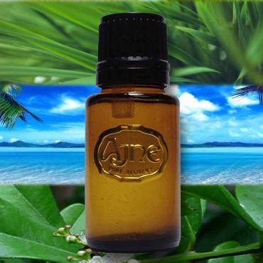 Bay Rum Fragrance Oil 10ml for Men's Cologne, Diffuser Oils, Making Soap,  Candles, Lotion, Home Scents, Linen Spray and Lotion