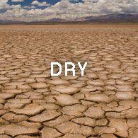 Dry Skin Types
